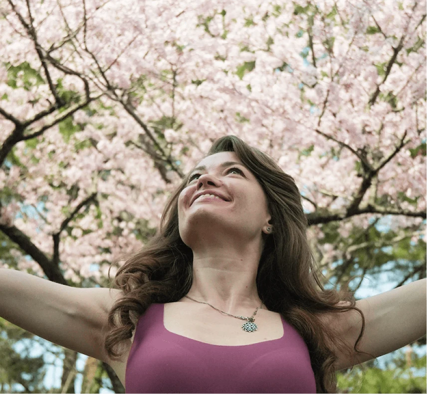 A traveler under blooming cherry blossoms