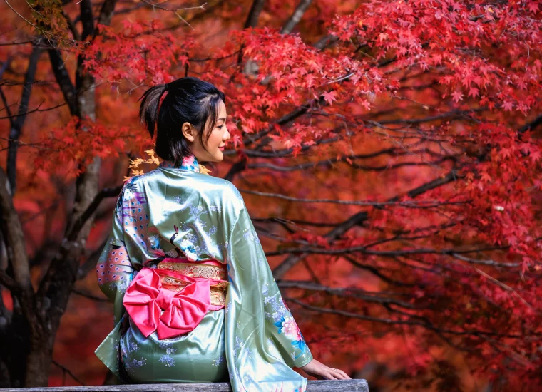 All of Japan in 8 days. Osaka — Nara — Kyoto — Hakone — Tokyo