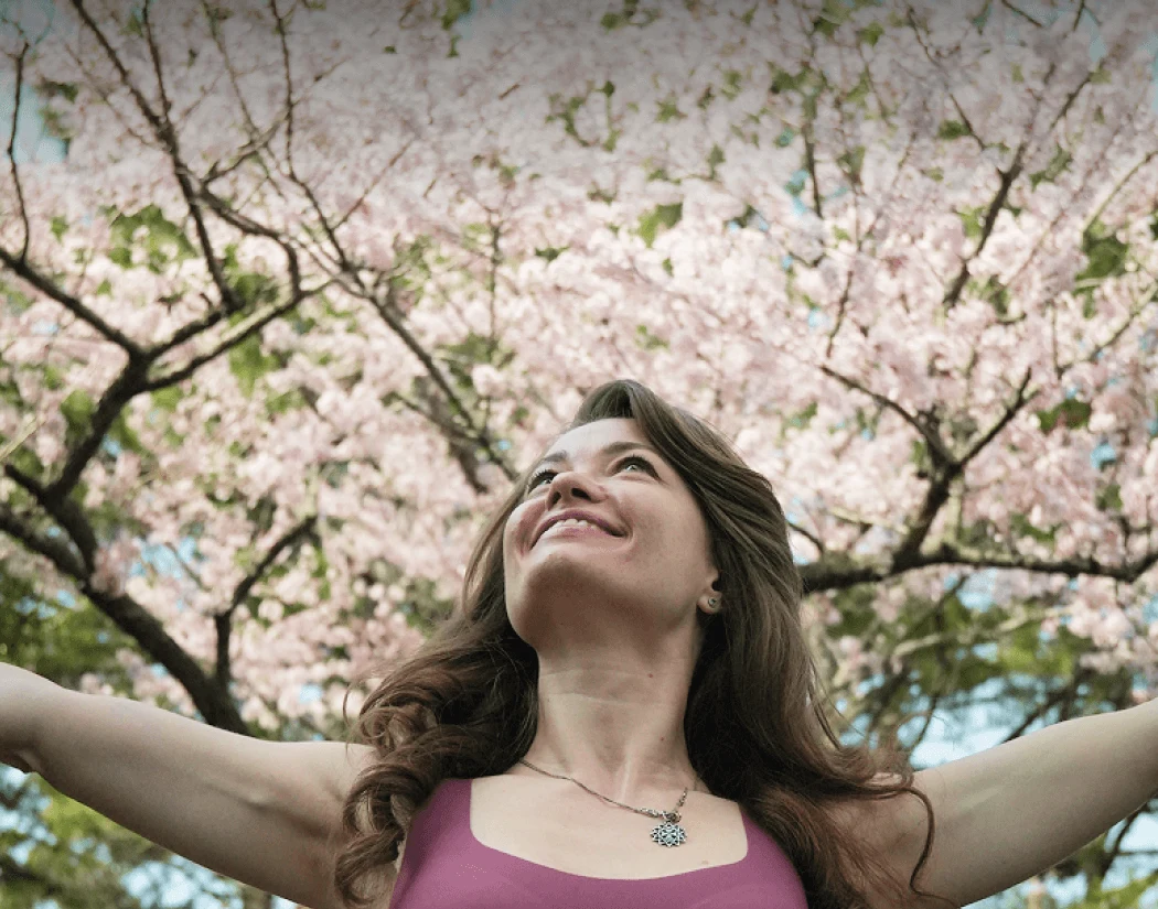 Cherry blossoms: Seoul + Jeju