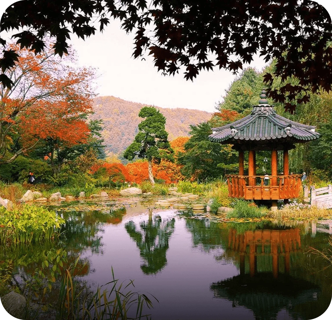Location: Garden of Morning Calm