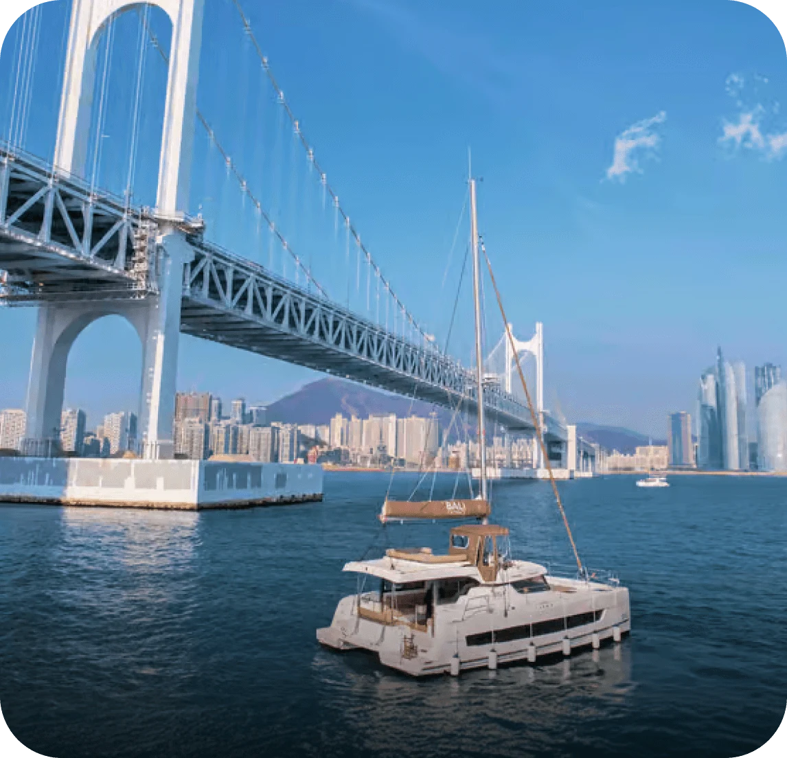 Location: Sea cruise