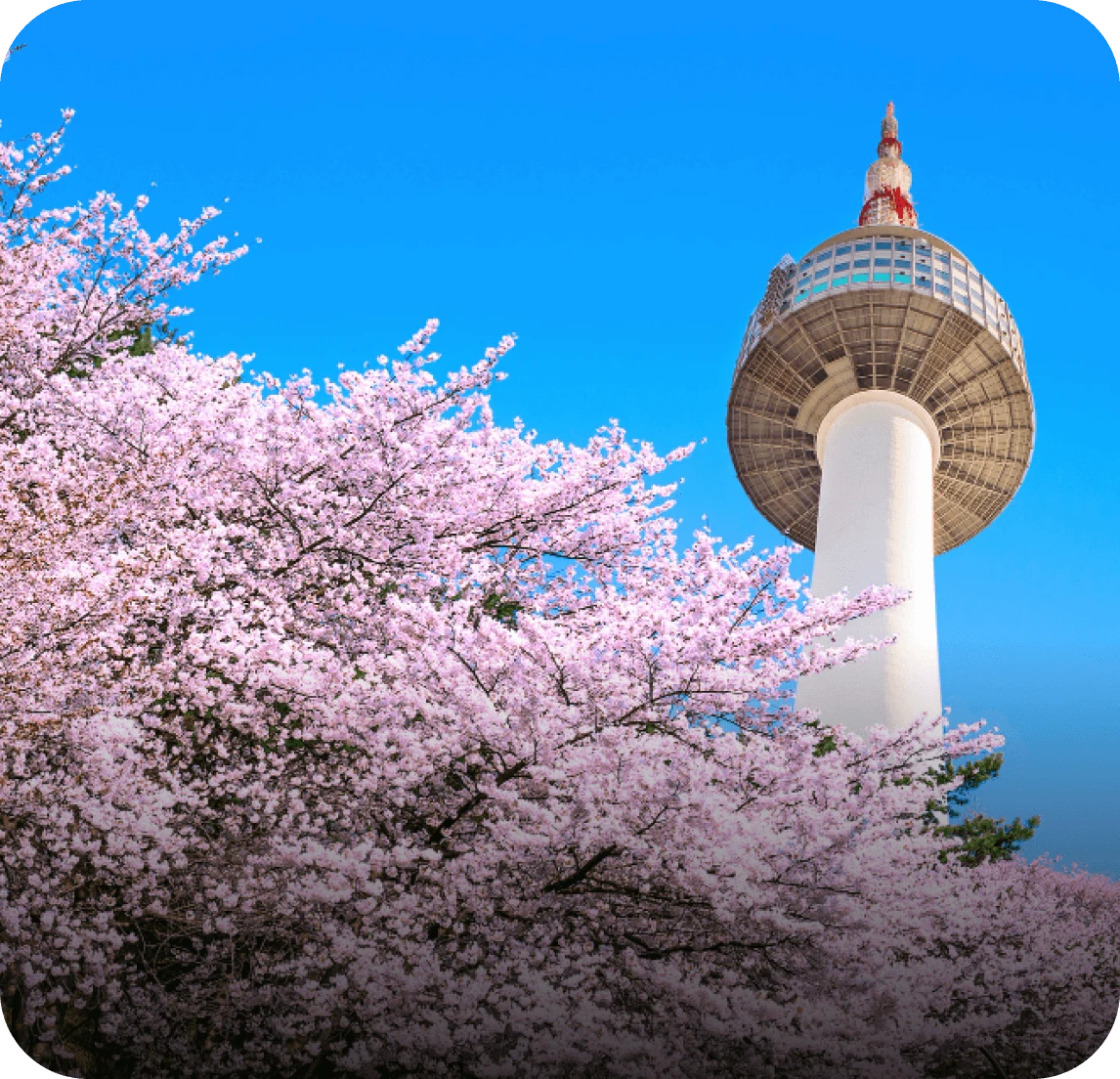 Location: Namsan Tower