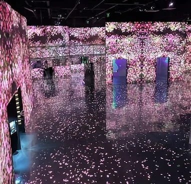 immersive digital art museum