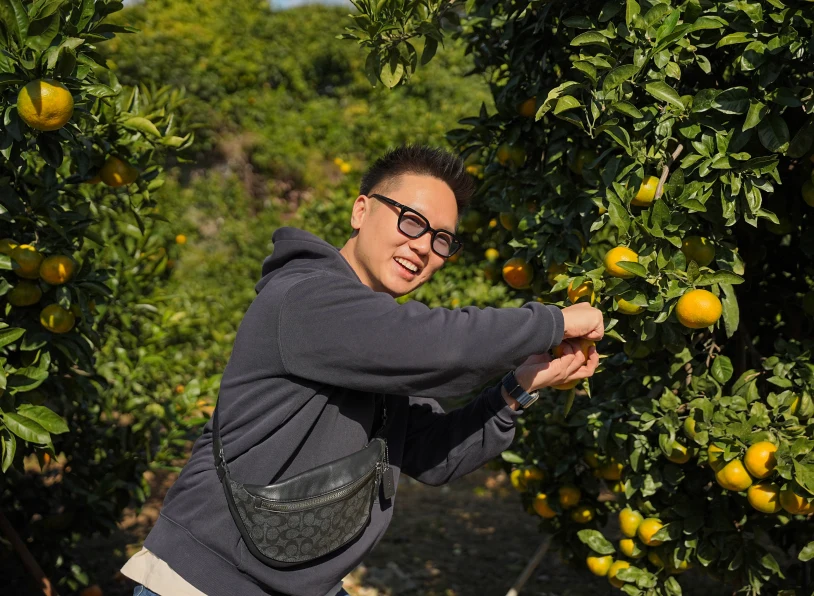 Tangerine boom: Seoul + Jeju