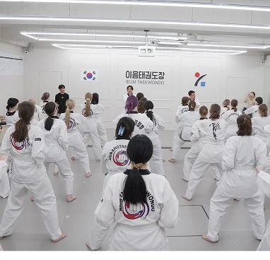 taekwondo master class