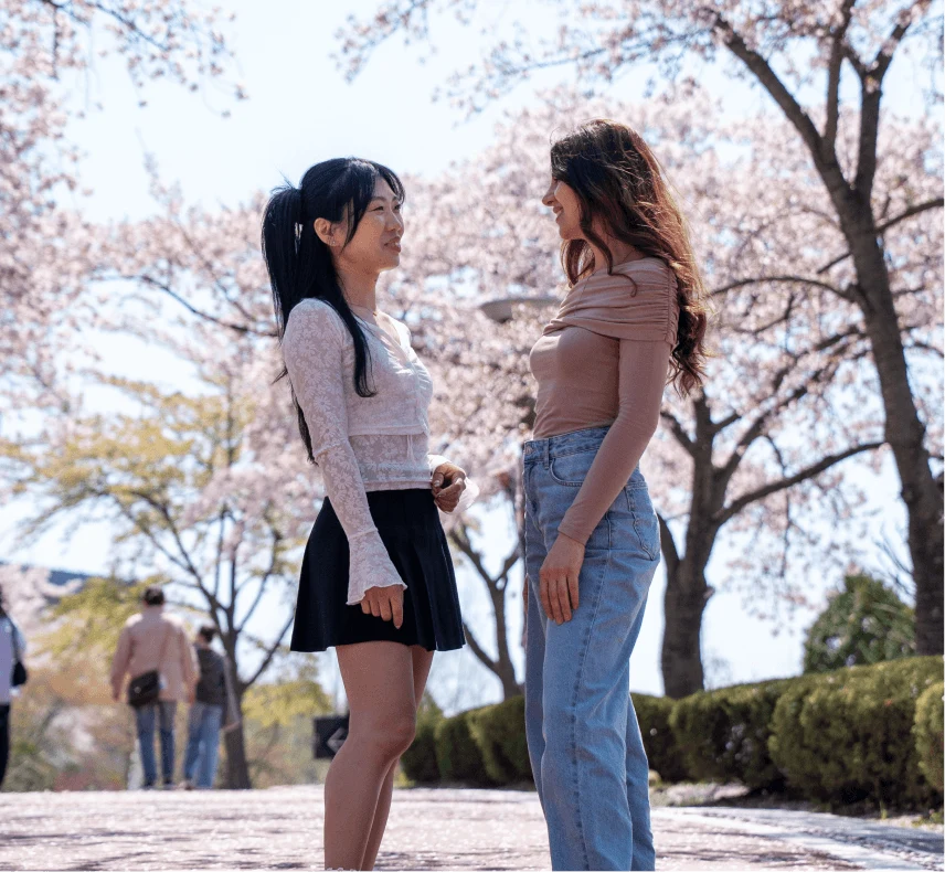 Two travelers under blooming cherry trees