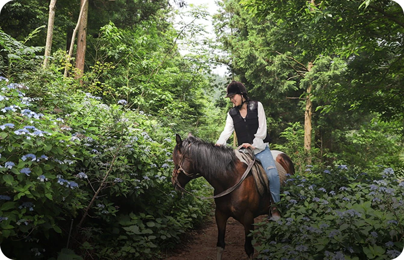 Horseback riding