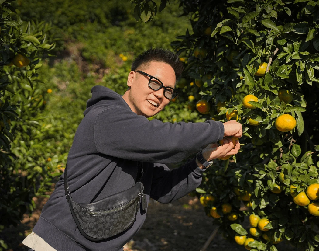 Tangerine boom: Seoul + Jeju